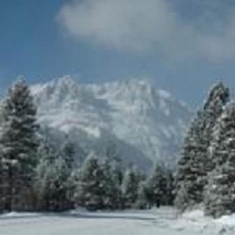 Birch Creek #1 - 1Br/1Ba - Down Canyon June Lake Zewnętrze zdjęcie